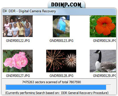 Digital Camera Data Recovery Software