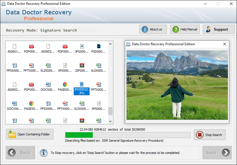 DDR Professional - Data Recovery Software Data Recovery Software